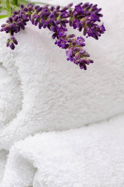 istock Fresh Lavender on Rolled White Towels Vertical 175427483
