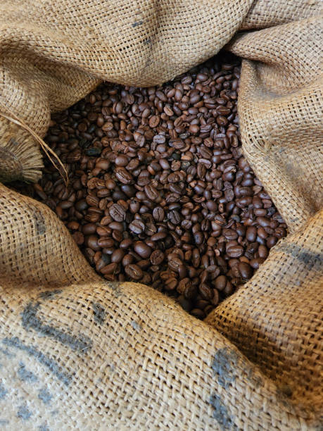 много коричневых кофейных зерен в пакете - coffee bean cafe burlap sack burlap стоковые фото и изображения