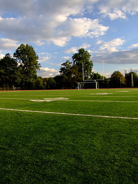 istock Field of Play 175427514