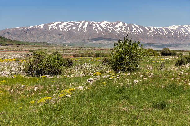 Mount Hermon Israel stock photo