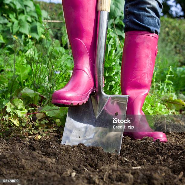 Foto de Jardinagem Wellies Em Corderosa e mais fotos de stock de Galocha - Galocha, Jardinagem, Rosa - Cor