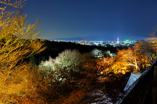 Kyoto at night with tree lightscape