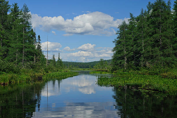 istock Adirondacks in Upstate New York lake Salanac 175428138