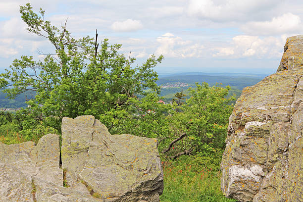 istock Feldberg panorama in june 175428411