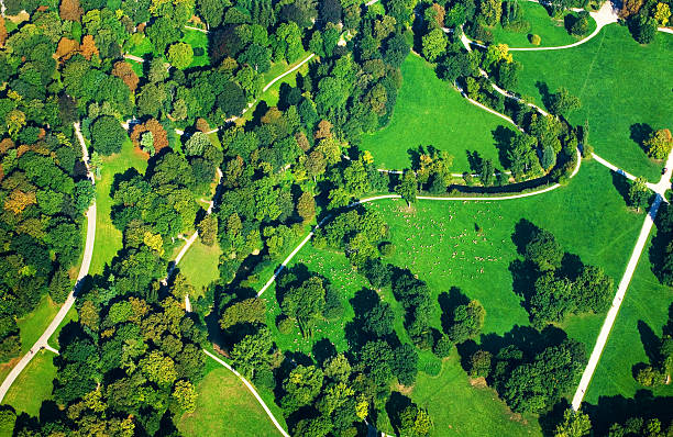 francês park - flowerbed aerial - fotografias e filmes do acervo