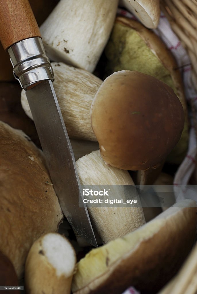 Cuchillo y boletus - Foto de stock de Amarillo - Color libre de derechos