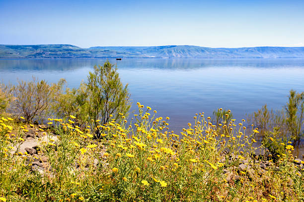 Sea of Galilee Sea of Galilee an view to the Golan Heights galilee photos stock pictures, royalty-free photos & images