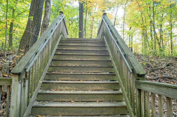 istock Rustic Wooden Steps in Autumn Forest 1754289470