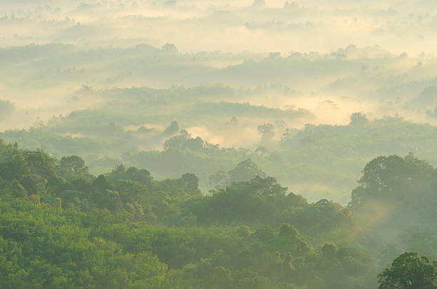 istock Beautiful sunshine at misty morning mountains . 175429185