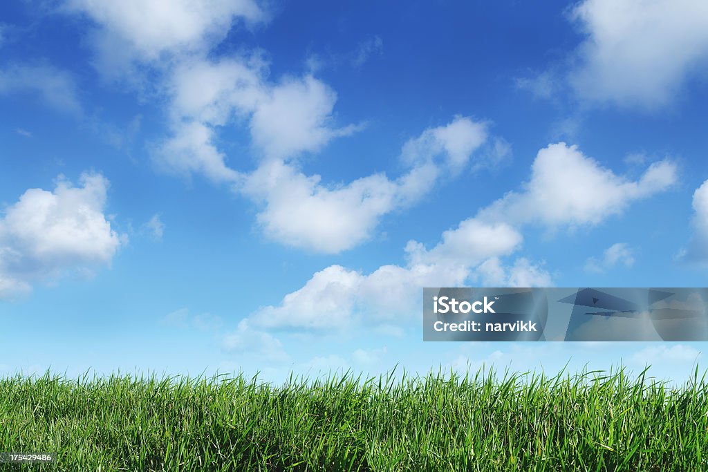 Prato verde orizzonte e blu cielo sfondo - Foto stock royalty-free di Ambientazione esterna