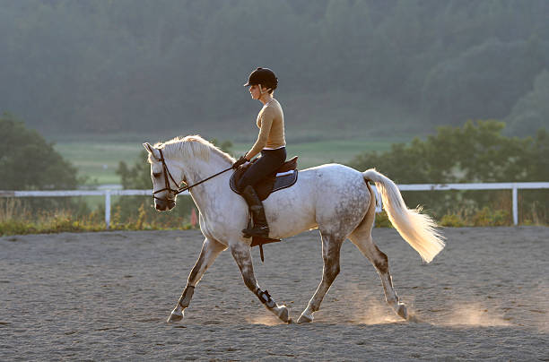 girl on a white horse in Oslo, Norway