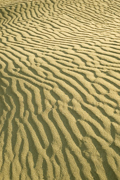 istock Golden sand ripples in a caribean beach. 175430250