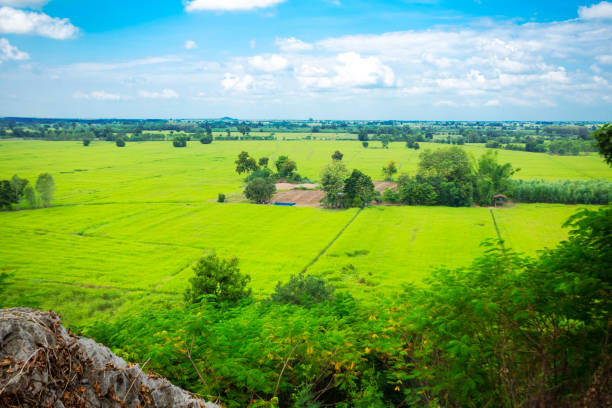 Idyllic landscape panorama  and fields  in Phitsanulok province  around village Parangmee near Noen Maprang in Phitsanulok province