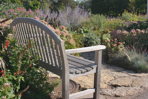 A teak wooden bench in a formal garden with blooming flower beds and natural stone paver patio provides a comfortable park seat for resting and relaxation. The tranquil, idyllic late summer or early autumn midwest ornamental garden is in St. Paul, Minnesota, USA. No people are in the natural scene.