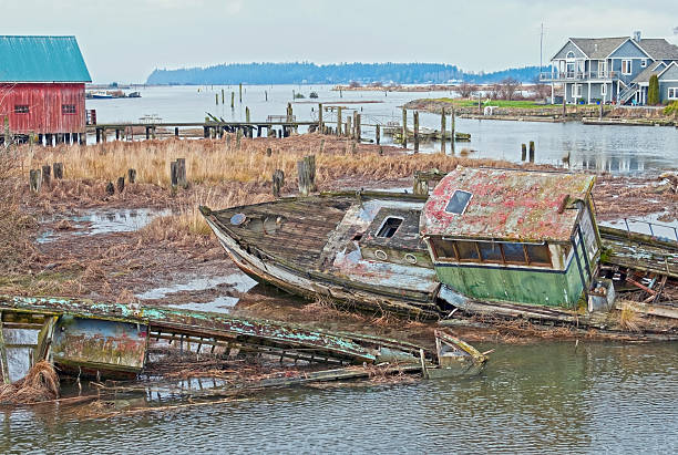 istock Wrecked boats in slough on Washington state coast 175430865