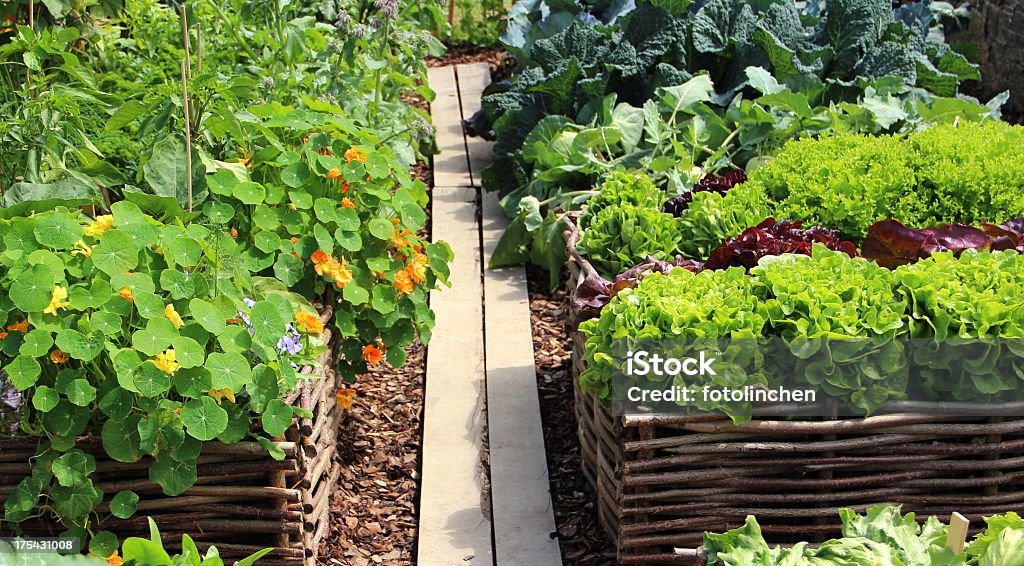 Kräuter und Gemüse - Lizenzfrei Alternative Medizin Stock-Foto