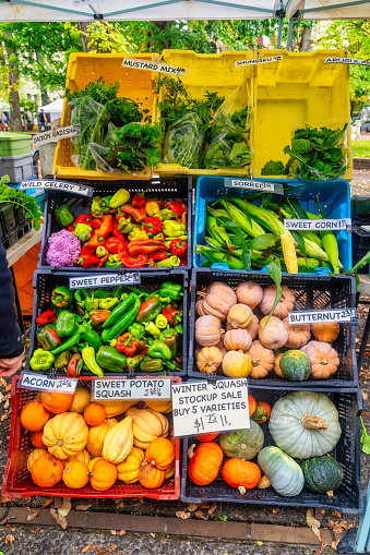 Fresh autumn vegetables at the farmer's market including mixed peppers, mustard greens, arugula, sweet corn, and winter squash