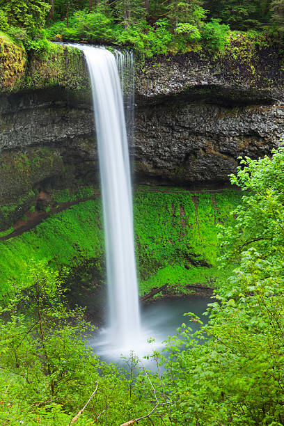istock South Falls in the Silver Falls State Park, Oregon, USA 175431549