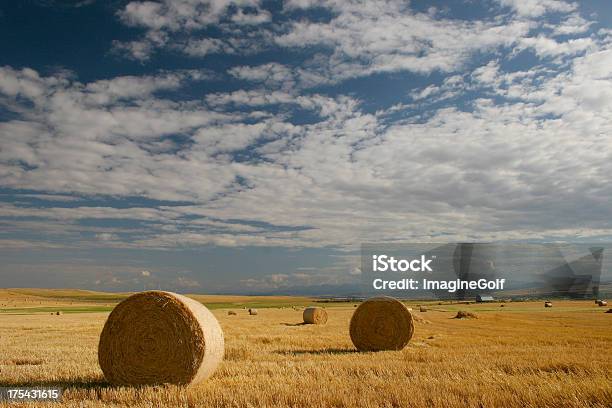 Siano Beli - zdjęcia stockowe i więcej obrazów Alberta - Alberta, Balot, Bez ludzi