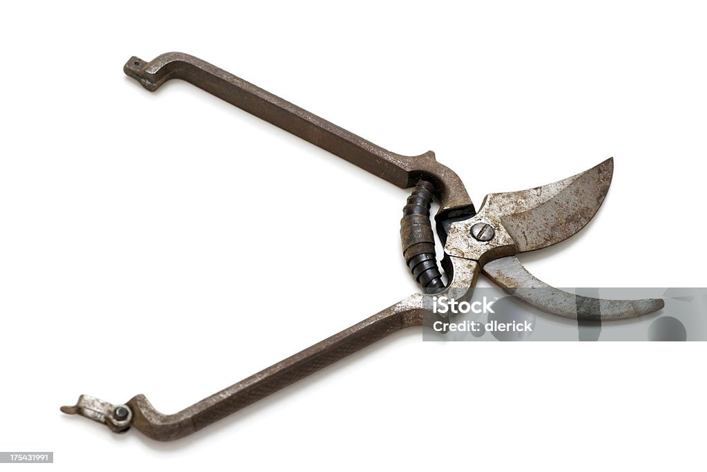Antique Dirty Rusty Metal Cutting Shears Stock Photo - Download Image Now -  Antique, Construction Industry, Cut Out - iStock