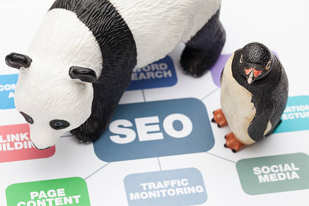 google panda i penguin - google penguin zdjęcia i obrazy z banku zdjęć