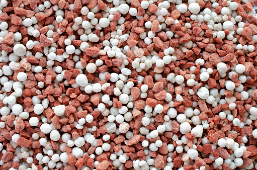 Potassium chloride and superphosphate - close-up of red and white colored mineral fertilizer, top view. Red and white background of potassium chloride and superphosphate fertilizer, top view