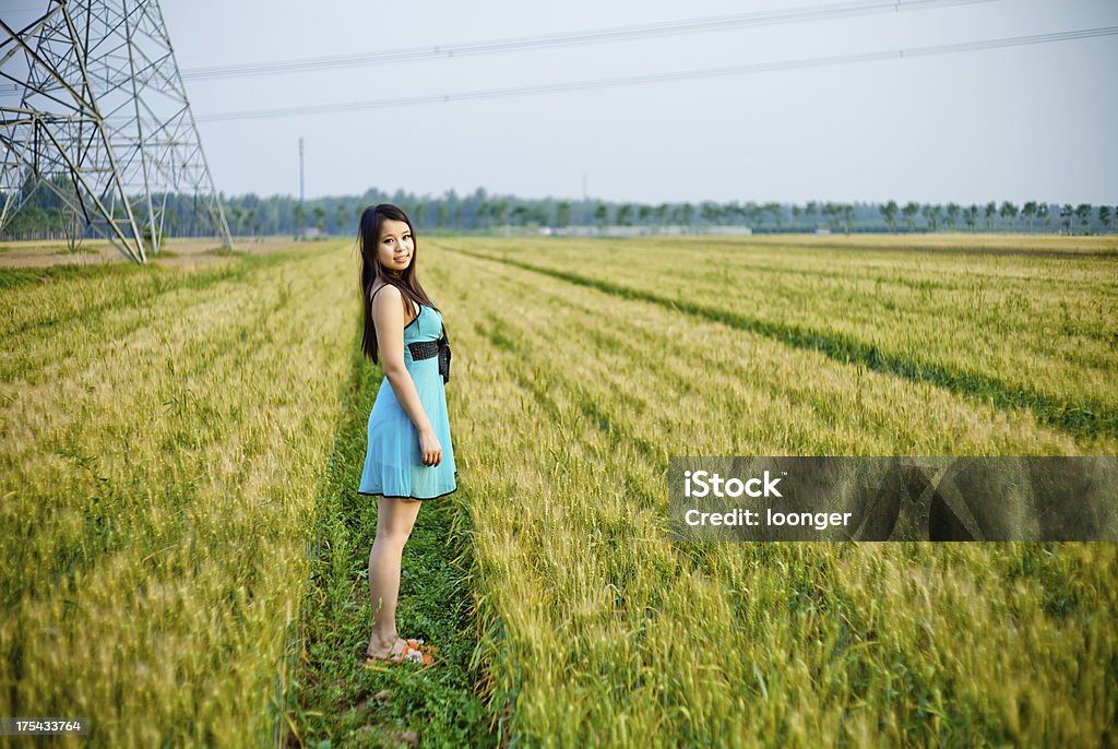 The joy of harvest girl standing in the middle of wheat field 20-24 Years Stock Photo