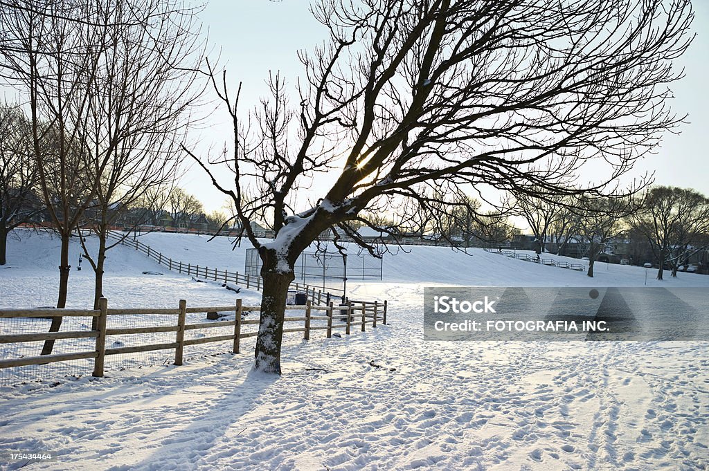 Inverno em Ontário - Foto de stock de Azul royalty-free