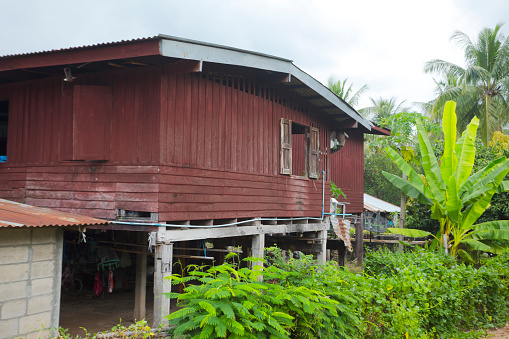Old wooden brown colored wooden   thai farm stilt house   in rural village Parangmee near Noen Maprang  in province Phitsanulok