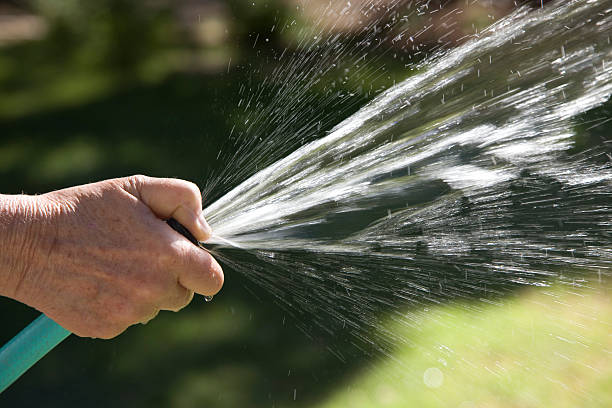 Watering with garden hose stock photo
