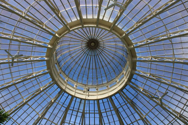 istock Glass Dome From An Indoor Garden. 1754351144