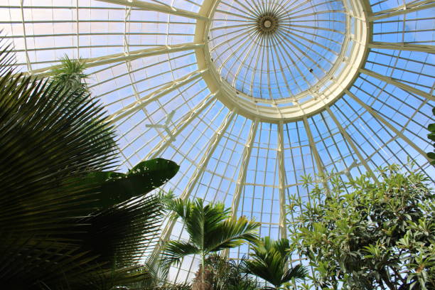 istock Glass Dome From An Indoor Garden. 1754351150