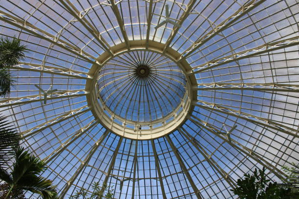 istock Glass Dome From An Indoor Garden. 1754351152