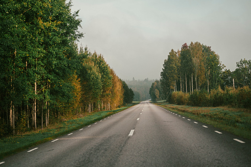 Road in autumn morning\nFoggy road