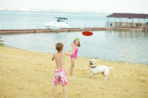 Little children playing with their dog on the beach
