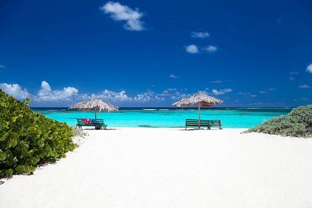 istock benches and umbrellas on a tropical beach in Anegada, BVI 175435692