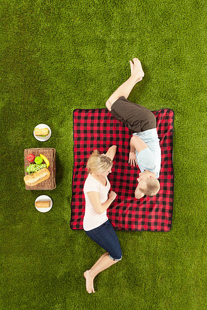 istock High angle view of a couple lying on picnic blanket 175435697