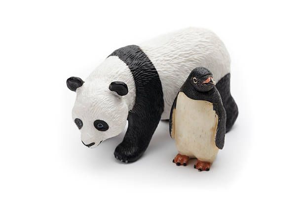 google panda y penguin - google panda fotografías e imágenes de stock