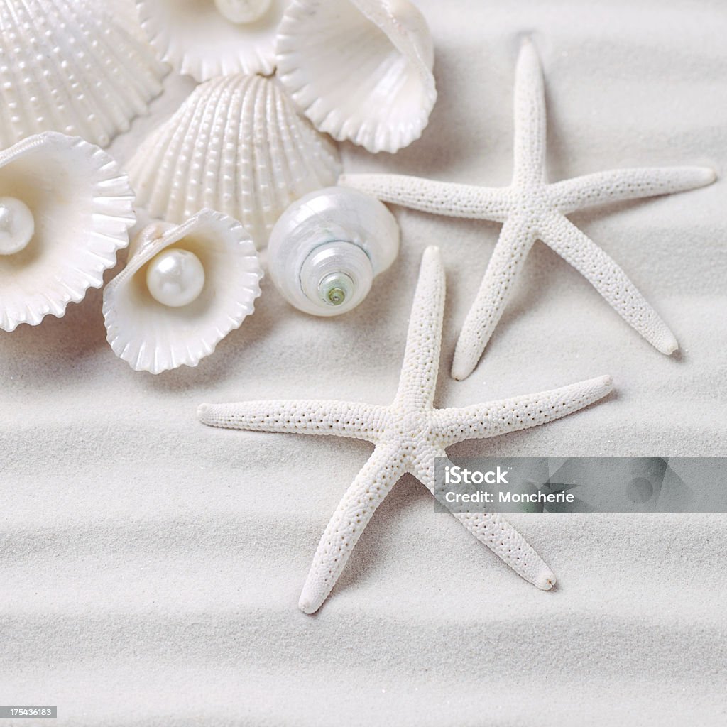 Coquillages et étoiles de mer avec perles - Photo de Perle de culture libre de droits