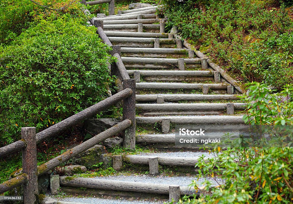 Les escaliers - Photo de Arbre libre de droits