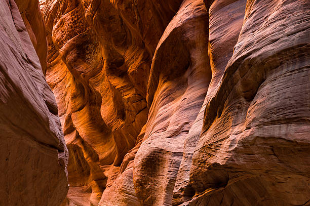 istock Smooth Red Rock Slot Canyons 175436508