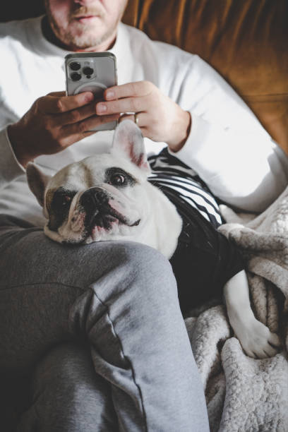 istock Man surfing the net on his smart phone with dog on his lap 1754367487