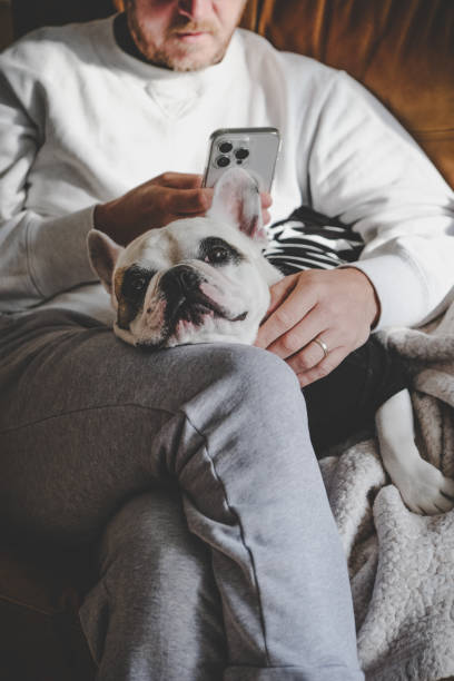 istock Man surfing the net on his smart phone with dog on his lap 1754367495