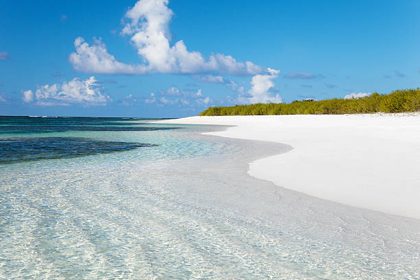 istock unspoiled white sand beach in Anegada, British Virgin Islands 175436788