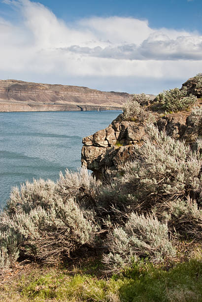 istock The Columbia River and Vantage Bridge 175436917
