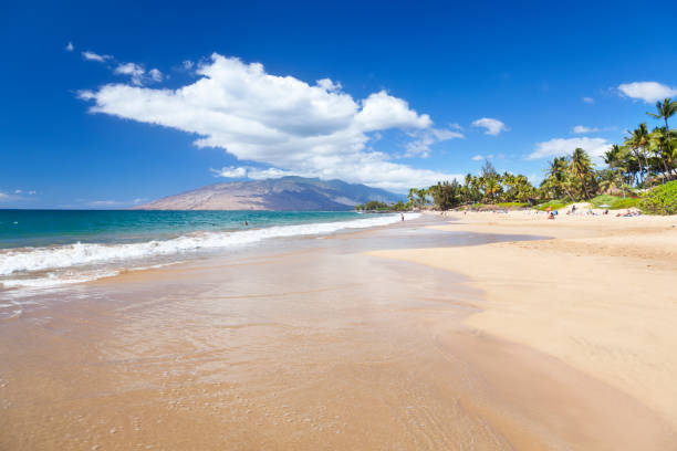 Kamaole Beach, Maui stock photo