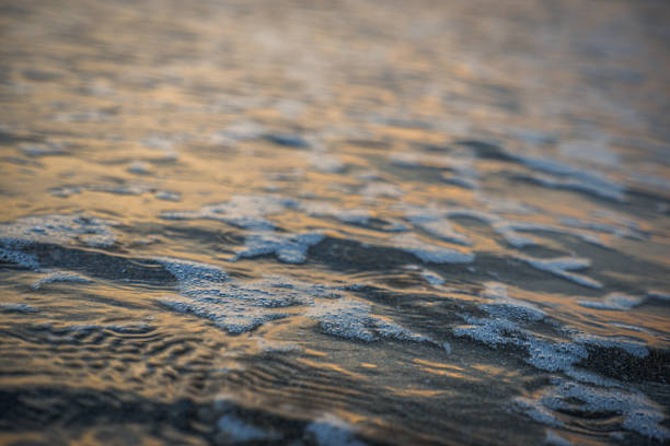 istock foam on waves or sea water, foamy sea water. 1754378468