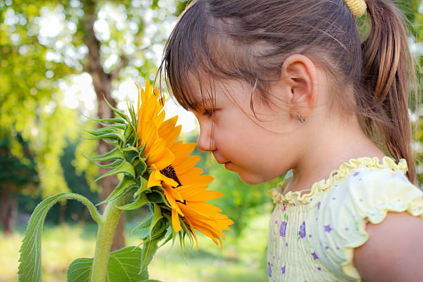 istock Sweet little girl with sunflower 175437953