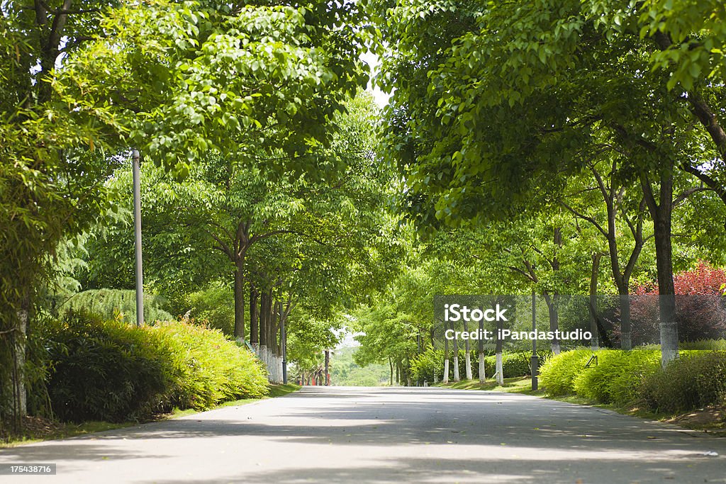 boulevard - Royalty-free Bulevar Foto de stock