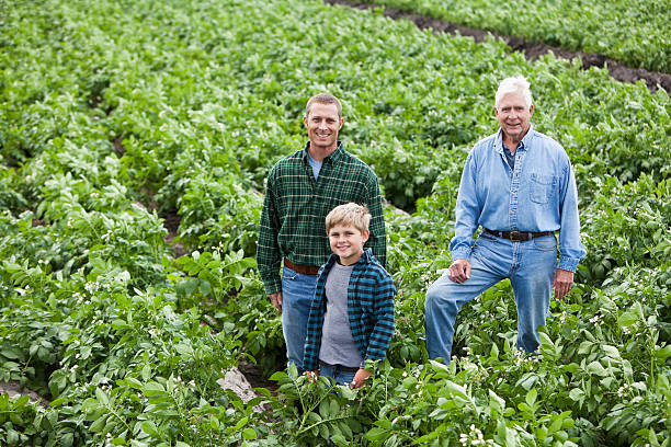 istock Three generations on family farm standing in crop field 175438866